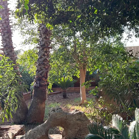 Guest house B&B Alelida